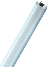 Symbolbild: Leuchtstofflampe LUMILUX(R) T8