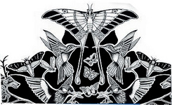 Anwendungsbeispiel