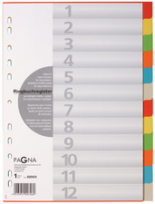 Karton - Register, 12-teilig