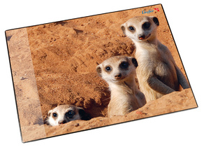 Sous-main "suricate"