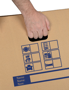 Transportbox Bücherbox - Detailansicht Tragegriff