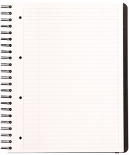 Cahier à spirale "Pro Book", ligné - ouvert