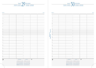 Agenda journalier de bureau "Journal 29/1" - 297 x 210 mm, grille