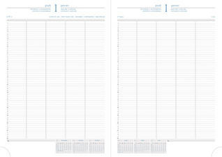 Agenda journalier de bureau "Journal 29/2" - 297 x 210 mm, grille