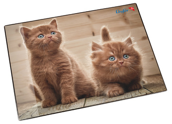 Motif: chats fouineurs