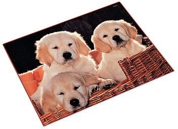 Motif: chiens