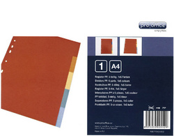 Symbolbild: Einleger für Kunststoff-Register, 5-teilig