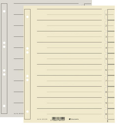  Intercalaires, Carton rigide, incolore