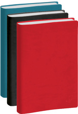  Agenda de bureau "La journée planifiée 21", assorti