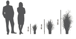 Visuel de référence: aperçu de la hauteur