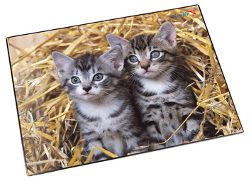 Motif: chats dans la paille
