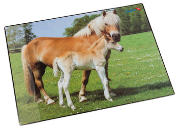 Motif: cheval et poulain