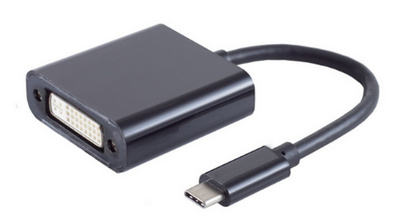 USB 3.1 - DVI Adapterkabel