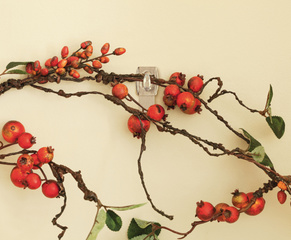 Symbolbild: zeigt das Produkt in Anwendung