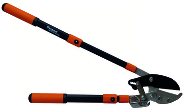 Astschere Astamboss-Ratschenschere