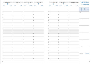 Agenda semainier de bureau "SAD 29" - 297 x 210 mm, grille
