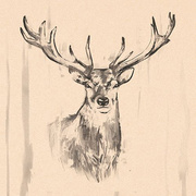 Motiv-Serviette "Deer"