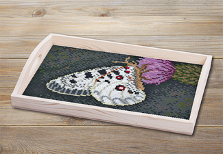 Visuel de référence : utilisation des perles à repasser Art "Papillon"