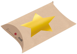 Weihnachts-Geschenbox "Star"