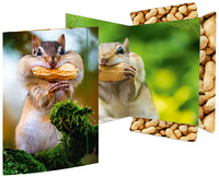 Zeichnungsmappe "Chipmunk"