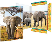 Zeichnungsmappe "Elefant"
