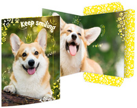Zeichnungsmappe "Corgi"