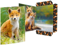Zeichnungsmappe "Fuchs"