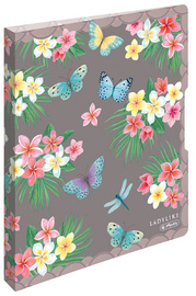 Ringbuch easy orga to go Ladylike "Butterflies"