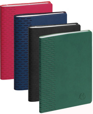 Agenda scolaire FORUM Winner, assorti