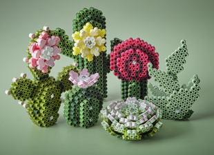 Visuel de référence: Perles à repasser midi Art "Succulentes"