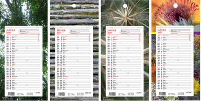 Visuel de référence: Calendrier mural long, sur plaque Nature
