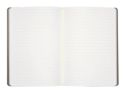 Detailansicht: LAMY-Lineatur