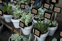 Symbolbild: zeigt das Produkt in Anwendung