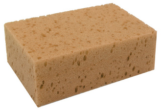 Abwaschschwamm