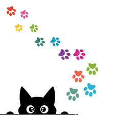 Visuel de référence: montre le produit en utilisation