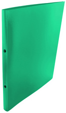 Ringbuch, grün
