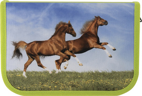 Schüleretui Pferd