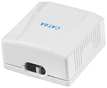 Anschlussdose Kat.6A mit Aufputzbox, 2 x RJ45