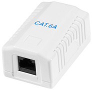 Anschlussdose Kat.6A mit Aufputzbox, 1x RJ45