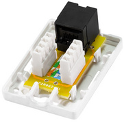 Anschlussdose Kat.6A mit Aufputzbox, 1x RJ45