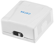 Anschlussdose Kat.6A mit Aufputzbox, 2x RJ45