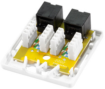 Anschlussdose Kat.6A mit Aufputzbox, 2x RJ45