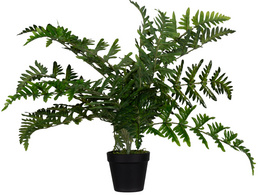 Plante artificielle "fougère"