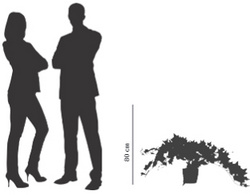 Visuel de référence : aperçu de la hauteur