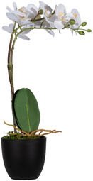 Plante artificielle "orchidée", blanc