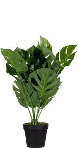 Plante artificielle "monstera", hauteur : 450 mm