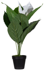 Plante artificielle "fleur de lune"