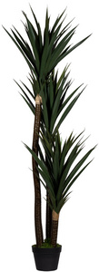 Plante artificielle "yucca", hauteur : 1.500 mm