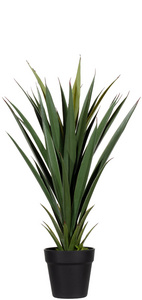 Plante artificielle "yucca", hauteur : 600 mm