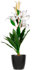 Plante artificielle "fleurs de lys"
